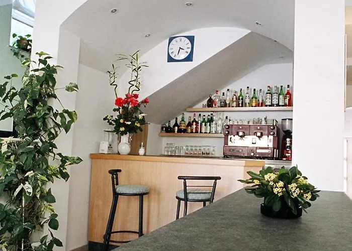 Hotell Trinidad Rimini